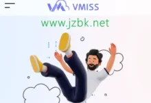 VMISS 全系列产品与线路选购指南：洛杉矶、香港、日本、CN2GIA线路TRI线路以及其他全部套餐线路详细购买指南！-建站百科
