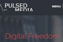 Pulsed Media：超级传家宝便宜VPS，逆天大盘鸡1TB硬盘年付仅9.99欧元无限流量！-建站百科