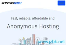 Servers.Guru：匿名托管新加坡VPS年度五折，€24.95/年起流量单向计算国际互联！-建站百科