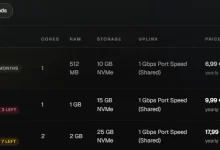 VPSLAYER 阿姆斯特丹年付 KVM VPS 优惠,€6.99年付无限流量!-建站百科