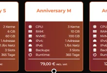 BERO HOST 十周年庆典优惠整理 Ryzen 9950X 2核6G内存39年付！高性能建站开发便宜VPS 机房位置德国法兰克福!-建站百科